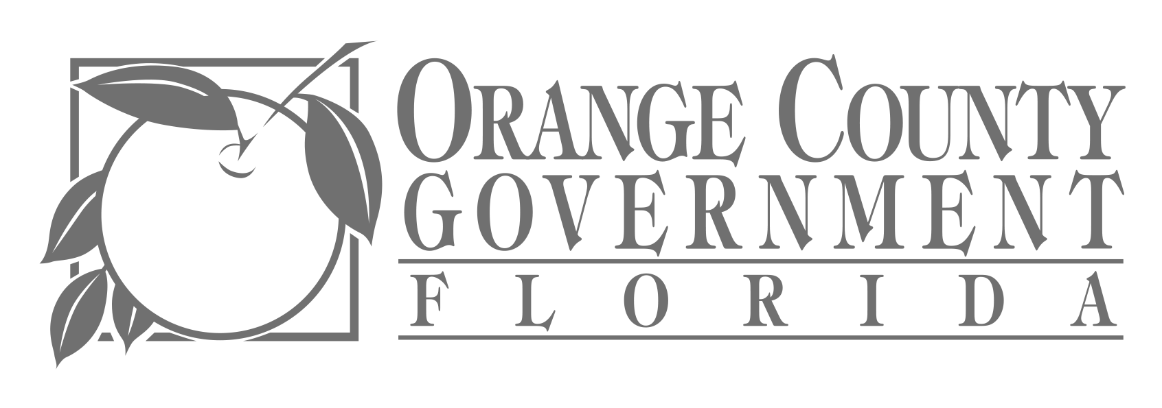 Orange COuntry Government Florida